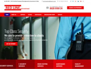 Security website development