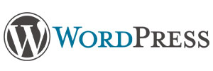 wordpress web designer