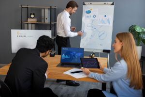 Software Project Consulting