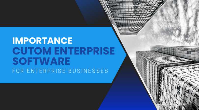 Read more about the article Enterprise Software Development: How Big Businesses Stay Agile in 2025