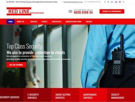 Security website development